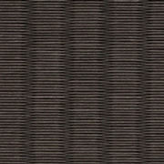 黄金白（こがねはく）