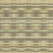 アースカラーコレクション