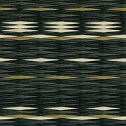 アースカラーコレクション